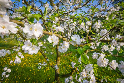 js-201804210803-6396.jpg