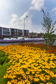 js-202108141620-8669.jpg