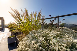 js-202109031017-9295.jpg