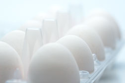 js_20090218_eierdoos_2979.jpg js_20090218_eierdoos_2979.jpg